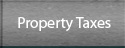 Property Taxes